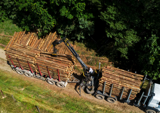 logs for sale in wimborne